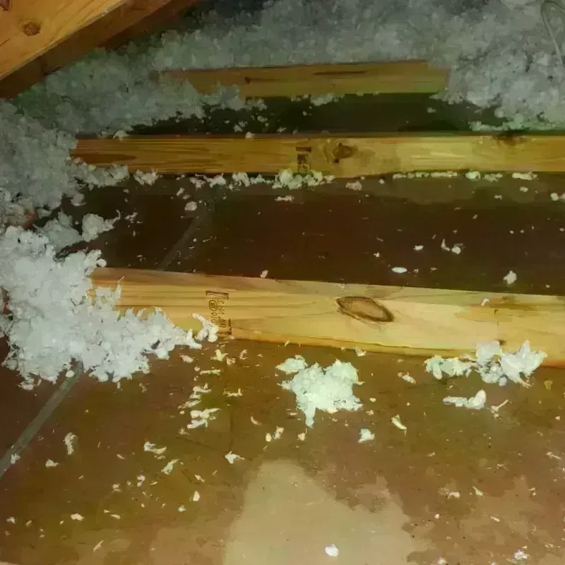 Attic Water Damage in Bristol, ME